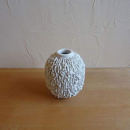 Amazon｜Gunnar Nylund グンナー・ニールンド ロールストランド ベース